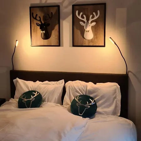 Chalet Het Wellnesstje