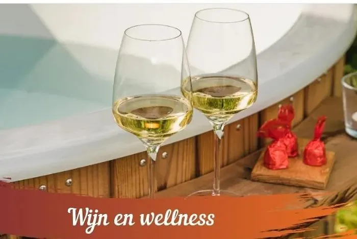 Het Wellnesstje Chalet Teuge